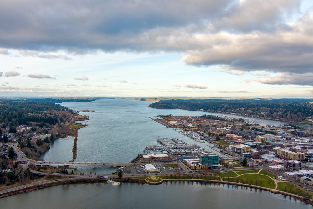 Aerial view of Olympia, WA, the service area for our local pest control solutions.