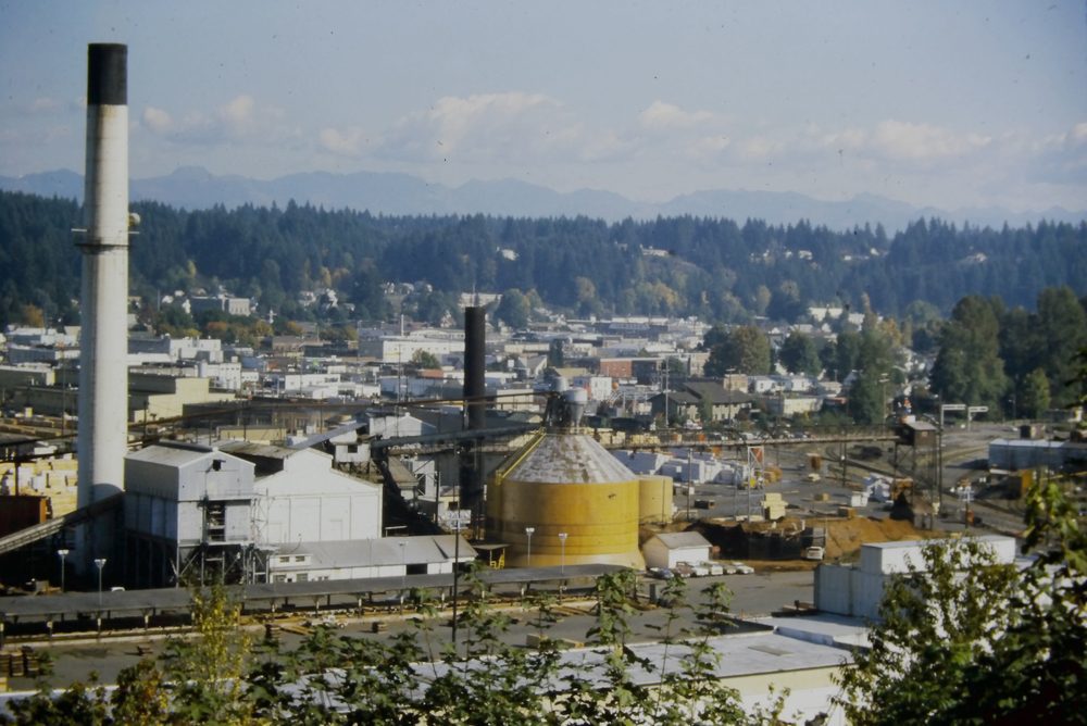 Aerial view of Shelton, WA, the service area for our local pest control solutions.
