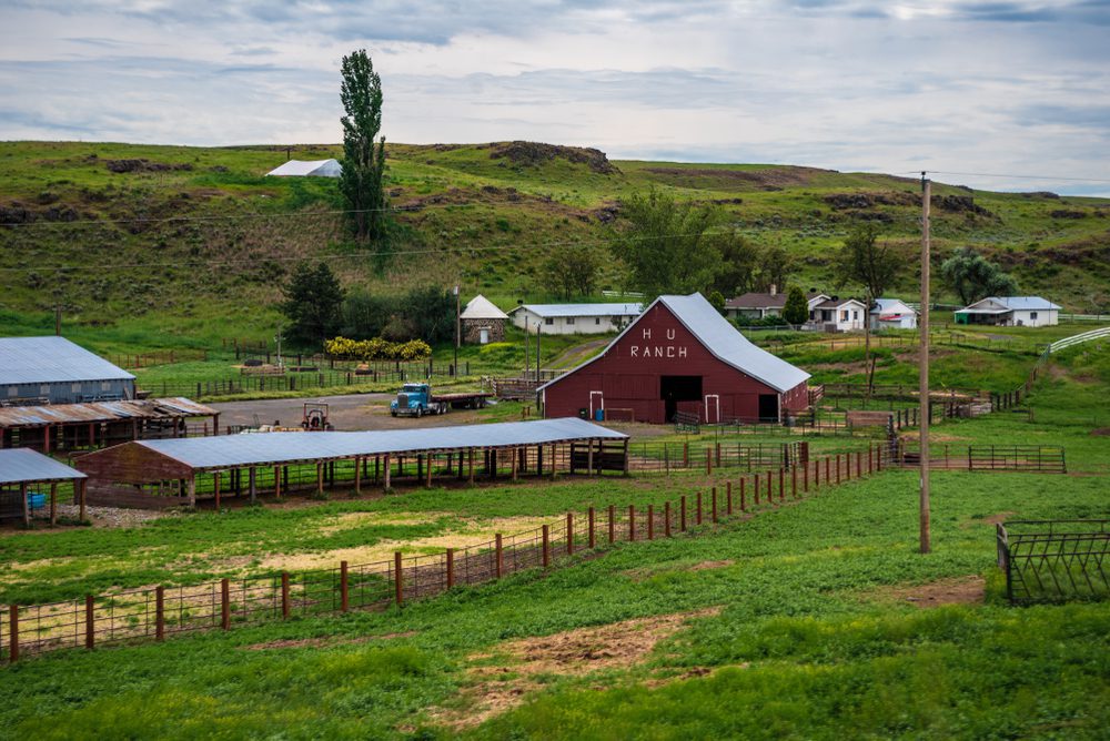 Aerial view of Tenino, WA, the service area for our local pest control solutions.
