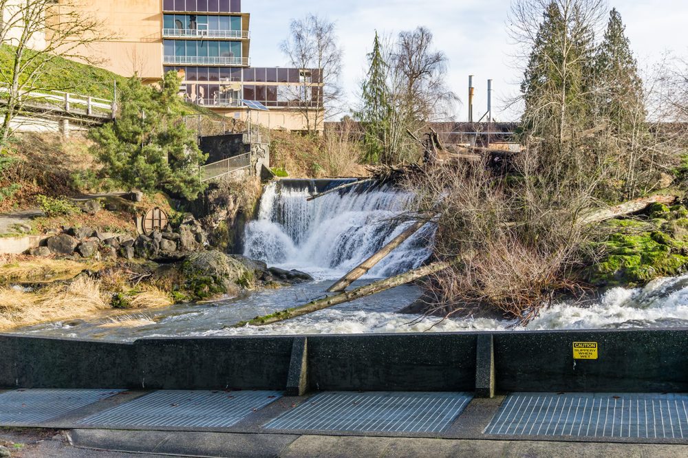Aerial view of Tumwater, WA, the service area for our local pest control solutions.