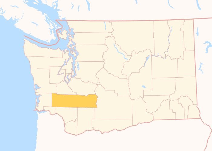 Aerial view of Pierce County, WA, the service area for our local pest control solutions.